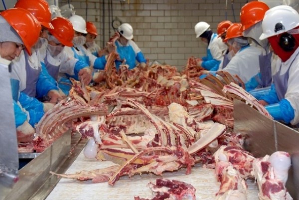 Chinese interested in by-products from Croatian slaughterhouses