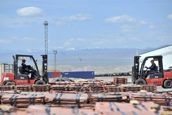 Chinese major land port sees more China-Europe freight trains