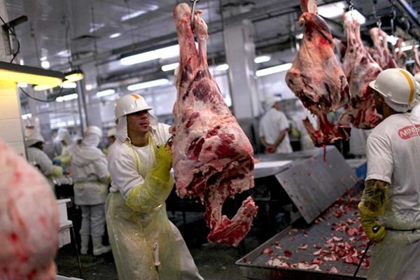 Meat imports in China to top 6 mln tonnes in 2019